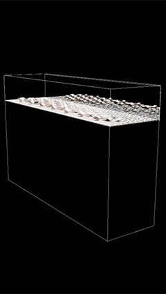 A see through image of the possibilities of the OLED display