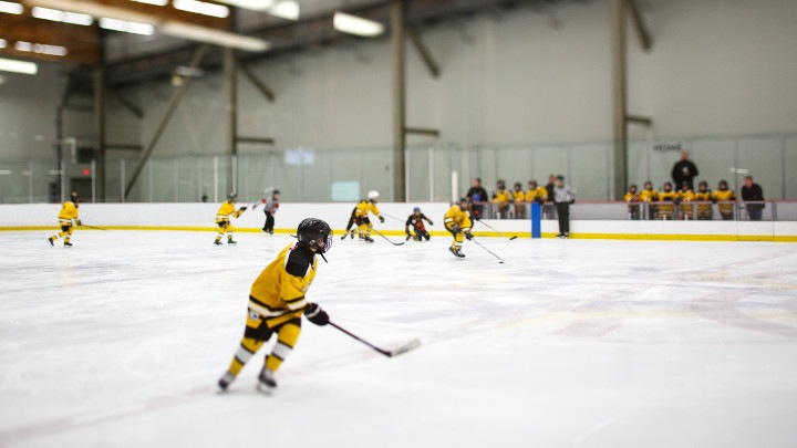 Ice hockey lighting - Indoor Flood Lights