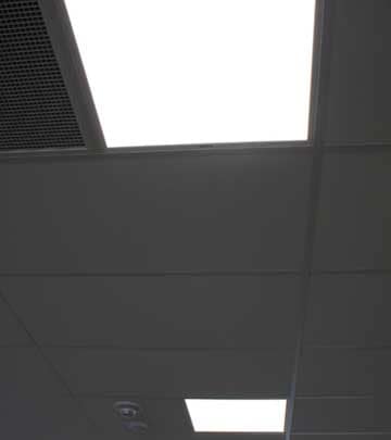 Pudney & Lee, Wellington, NZ Case Study
